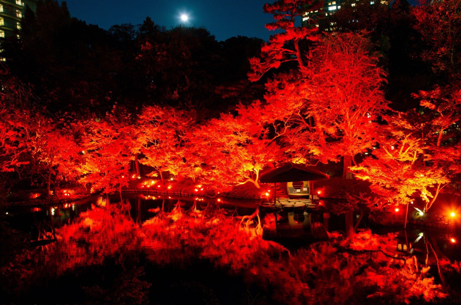 TOKYO RED GARDEN 2026（八芳園 紅葉の庭園ライトアップ）の告知画像