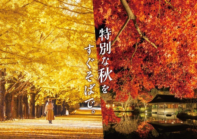黄葉・紅葉まつり&秋の夜散歩2026(国営昭和記念公園)の告知画像