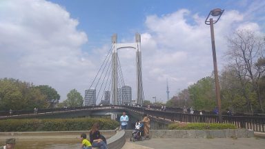 木場公園の写真